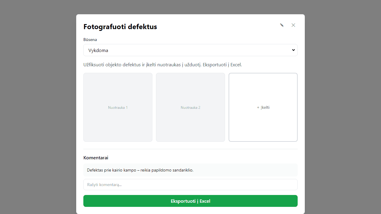 Užduoties langas su nuotraukomis ir komentarais
